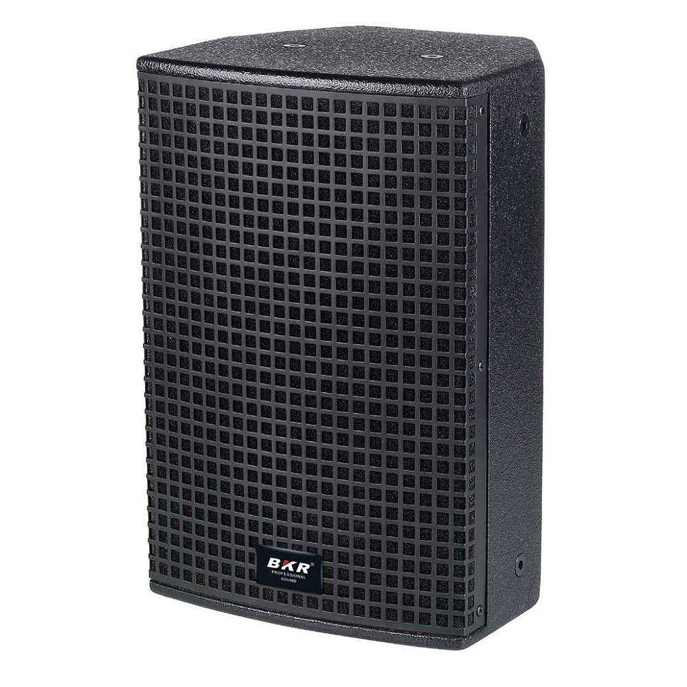 8 inch Speaker BKR BR-YX8